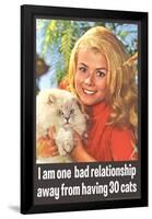 One Bad Relationship Away From Having 30 Cats Funny Poster-Ephemera-Framed Poster