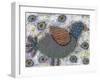 One Bird-Funked Up Art-Framed Giclee Print