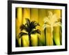 One Blond-Andrew Michaels-Framed Photographic Print