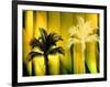 One Blond-Andrew Michaels-Framed Photographic Print