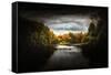 One Day in November-Philippe Sainte-Laudy-Framed Stretched Canvas