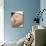 One Day Old Baby Girl Sleeping-Cristina-Photographic Print displayed on a wall