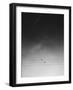 One Day-Design Fabrikken-Framed Photographic Print