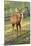 One Deer in Nara Park in the Morning, Japan, Asia.-elwynn-Mounted Photographic Print