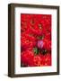 One Different-Ivonnewierink-Framed Photographic Print