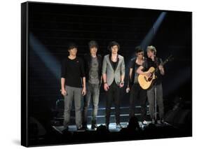 One Direction-null-Framed Stretched Canvas