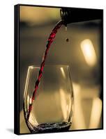 One drop shows as red wine is poured into glass.-Richard Duval-Framed Stretched Canvas