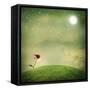 One Echinacea Flower under the Moon-Melpomene-Framed Stretched Canvas