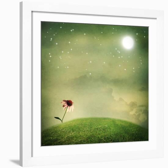 One Echinacea Flower under the Moon-Melpomene-Framed Photographic Print