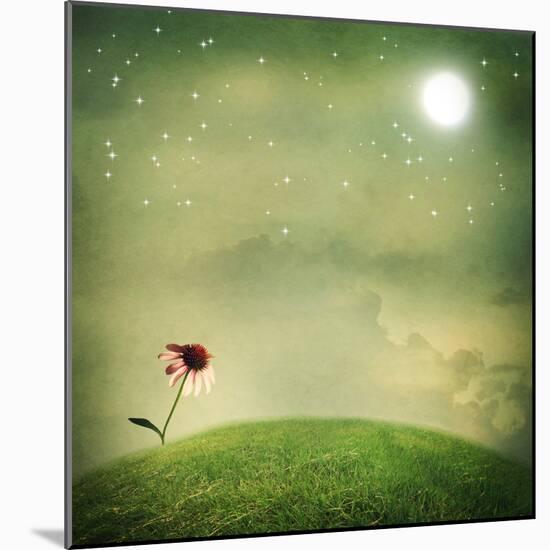 One Echinacea Flower under the Moon-Melpomene-Mounted Photographic Print