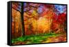 One Fine Day-Philippe Sainte-Laudy-Framed Stretched Canvas