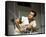 One Flew Over the Cuckoo's Nest-null-Framed Stretched Canvas