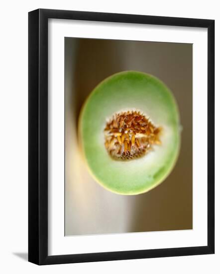 One Half of a Honeydew Melon-Chris Rogers-Framed Photographic Print