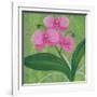 One Heart Orchids I-Herb Dickinson-Framed Photographic Print