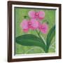 One Heart Orchids I-Herb Dickinson-Framed Photographic Print