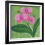 One Heart Orchids I-Herb Dickinson-Framed Photographic Print