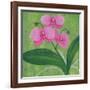 One Heart Orchids I-Herb Dickinson-Framed Photographic Print