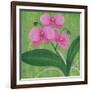 One Heart Orchids I-Herb Dickinson-Framed Photographic Print