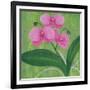 One Heart Orchids I-Herb Dickinson-Framed Photographic Print