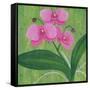 One Heart Orchids I-Herb Dickinson-Framed Stretched Canvas