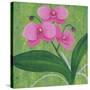 One Heart Orchids I-Herb Dickinson-Stretched Canvas