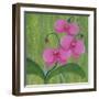 One Heart Orchids II-Herb Dickinson-Framed Photographic Print