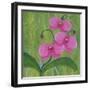 One Heart Orchids II-Herb Dickinson-Framed Photographic Print