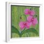 One Heart Orchids II-Herb Dickinson-Framed Photographic Print