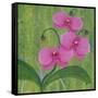 One Heart Orchids II-Herb Dickinson-Framed Stretched Canvas