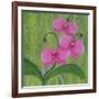 One Heart Orchids II-Herb Dickinson-Framed Photographic Print