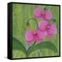 One Heart Orchids II-Herb Dickinson-Framed Stretched Canvas