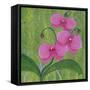 One Heart Orchids II-Herb Dickinson-Framed Stretched Canvas