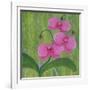 One Heart Orchids II-Herb Dickinson-Framed Photographic Print