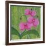 One Heart Orchids II-Herb Dickinson-Framed Photographic Print