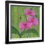 One Heart Orchids II-Herb Dickinson-Framed Photographic Print