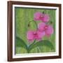 One Heart Orchids II-Herb Dickinson-Framed Photographic Print