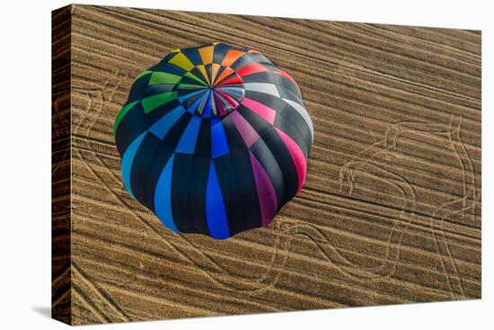 One Hot Air Balloon Gathering in the Countryside of France-OSTILL-Stretched Canvas
