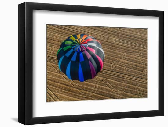 One Hot Air Balloon Gathering in the Countryside of France-OSTILL-Framed Photographic Print