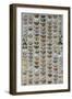 One Hundred and Sixty Six Moths Belonging to Several Families, But Mostly Noctuidae and Geometridae-Marian Ellis Rowan-Framed Giclee Print