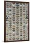 One Hundred and Sixty Six Moths Belonging to Several Families, But Mostly Noctuidae and Geometridae-Marian Ellis Rowan-Framed Giclee Print