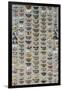 One Hundred and Sixty Six Moths Belonging to Several Families, But Mostly Noctuidae and Geometridae-Marian Ellis Rowan-Framed Giclee Print