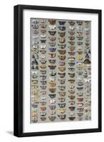 One Hundred and Sixty Six Moths Belonging to Several Families, But Mostly Noctuidae and Geometridae-Marian Ellis Rowan-Framed Giclee Print