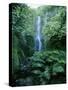One Hundred Foot Wailua Falls Near Oheo, Hana Coast, Maui, Hawaii, USA-Robert Francis-Stretched Canvas