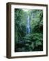 One Hundred Foot Wailua Falls Near Oheo, Hana Coast, Maui, Hawaii, USA-Robert Francis-Framed Photographic Print