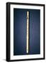 One-Keyed Flute, Made by Naust, Paris, C.1725 (Ivory)-French-Framed Giclee Print