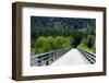 One Lane Forest Bridge near Packwood in Washington State-SNEHITDESIGN-Framed Photographic Print