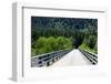 One Lane Forest Bridge near Packwood in Washington State-SNEHITDESIGN-Framed Photographic Print