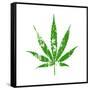 One Leaf-Ali Potman-Framed Stretched Canvas