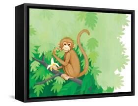 One Little Monkey - Turtle-Kathryn Mitter-Framed Stretched Canvas