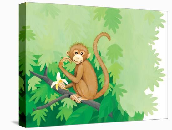 One Little Monkey - Turtle-Kathryn Mitter-Stretched Canvas